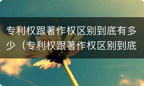 专利权跟著作权区别到底有多少（专利权跟著作权区别到底有多少个）