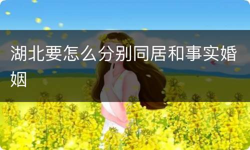 湖北要怎么分别同居和事实婚姻
