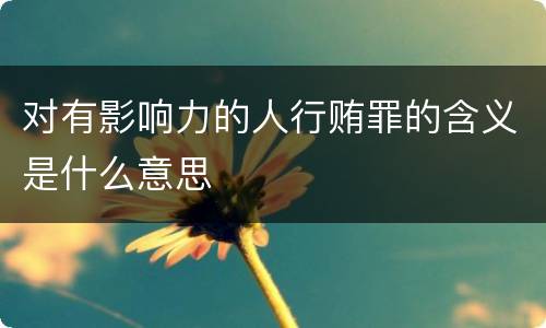 对有影响力的人行贿罪的含义是什么意思