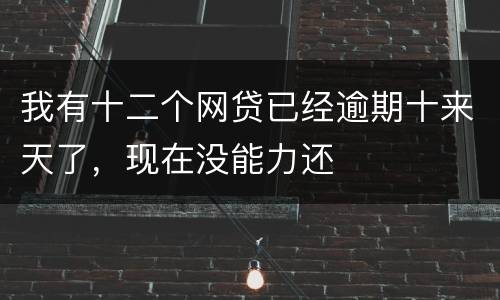 我有十二个网贷已经逾期十来天了，现在没能力还