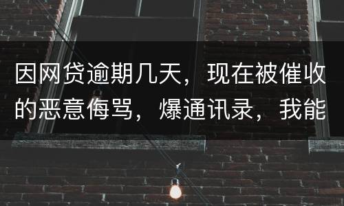 因网贷逾期几天，现在被催收的恶意侮骂，爆通讯录，我能起诉不