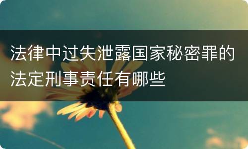 法律中过失泄露国家秘密罪的法定刑事责任有哪些