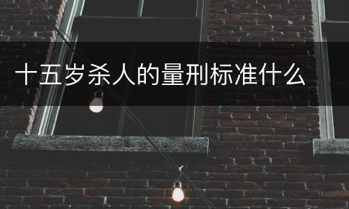 十五岁杀人的量刑标准什么