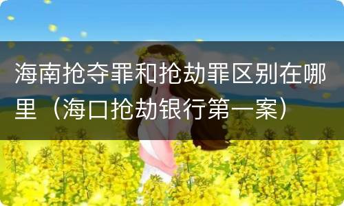 海南抢夺罪和抢劫罪区别在哪里（海口抢劫银行第一案）