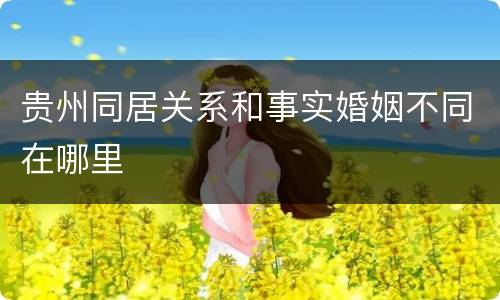 贵州同居关系和事实婚姻不同在哪里