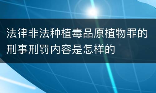法律非法种植毒品原植物罪的刑事刑罚内容是怎样的