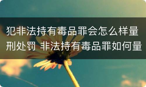 犯非法持有毒品罪会怎么样量刑处罚 非法持有毒品罪如何量刑