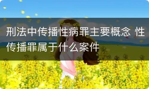 刑法中传播性病罪主要概念 性传播罪属于什么案件