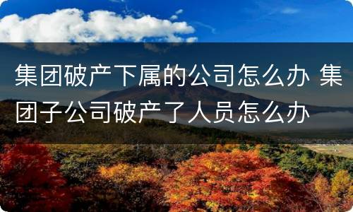 集团破产下属的公司怎么办 集团子公司破产了人员怎么办
