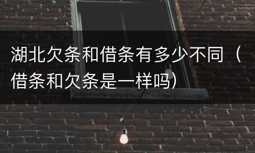 湖北欠条和借条有多少不同（借条和欠条是一样吗）