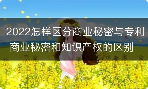 2022怎样区分商业秘密与专利 商业秘密和知识产权的区别