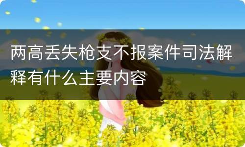 两高丢失枪支不报案件司法解释有什么主要内容