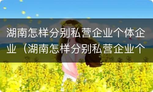 湖南怎样分别私营企业个体企业（湖南怎样分别私营企业个体企业和国企）