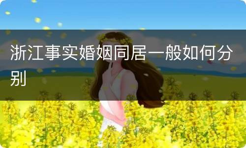 浙江事实婚姻同居一般如何分别