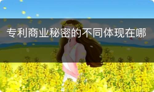 专利商业秘密的不同体现在哪