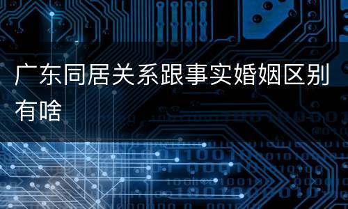 广东同居关系跟事实婚姻区别有啥