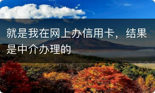 就是我在网上办信用卡,结果是中介办理的