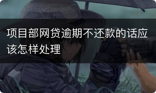 项目部网贷逾期不还款的话应该怎样处理