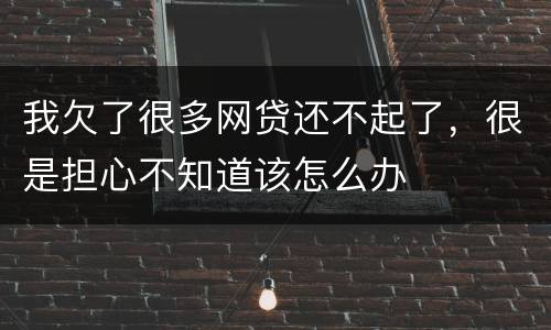 我欠了很多网贷还不起了，很是担心不知道该怎么办