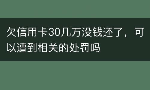 欠信用卡30几万没钱还了，可以遭到相关的处罚吗