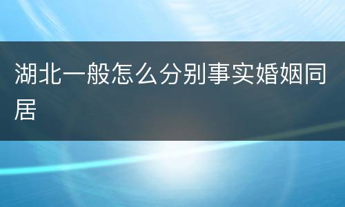 湖北一般怎么分别事实婚姻同居