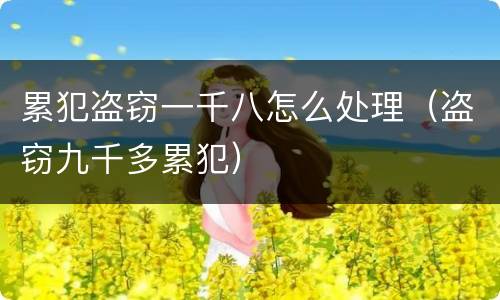 累犯盗窃一千八怎么处理（盗窃九千多累犯）
