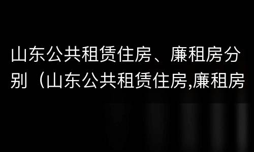 山东公共租赁住房、廉租房分别（山东公共租赁住房,廉租房分别是什么）