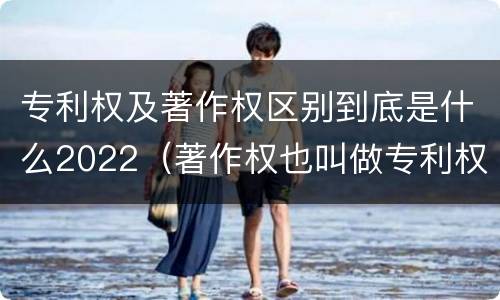 专利权及著作权区别到底是什么2022（著作权也叫做专利权吗）