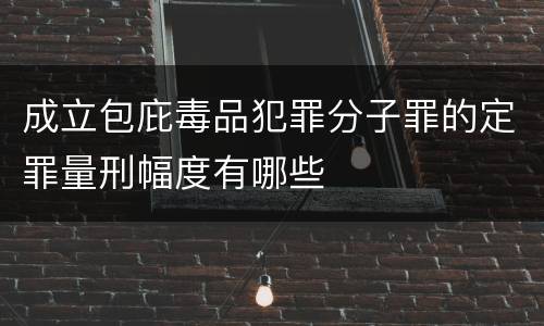 成立包庇毒品犯罪分子罪的定罪量刑幅度有哪些