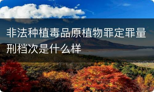 非法种植毒品原植物罪定罪量刑档次是什么样