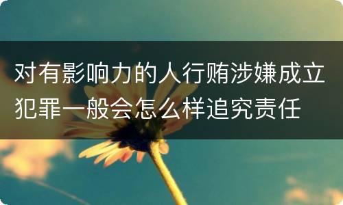 对有影响力的人行贿涉嫌成立犯罪一般会怎么样追究责任