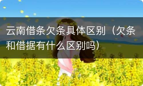 云南借条欠条具体区别（欠条和借据有什么区别吗）