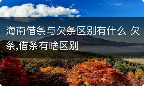 海南借条与欠条区别有什么 欠条,借条有啥区别