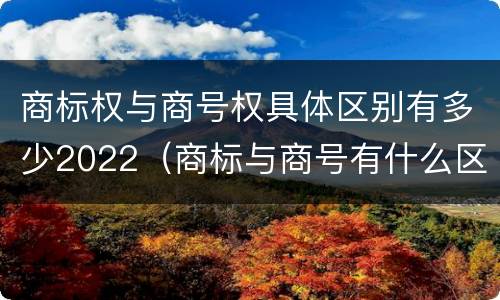 商标权与商号权具体区别有多少2022（商标与商号有什么区别）