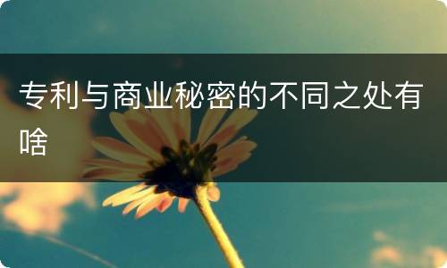 专利与商业秘密的不同之处有啥