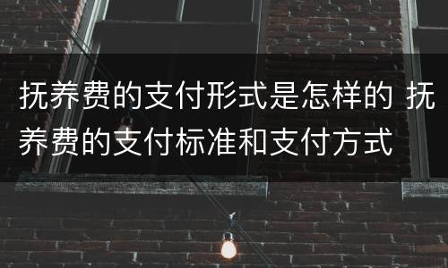 抚养费的支付形式是怎样的 抚养费的支付标准和支付方式