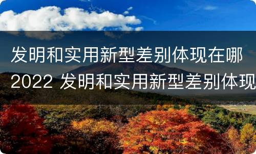 发明和实用新型差别体现在哪2022 发明和实用新型差别体现在哪2022年