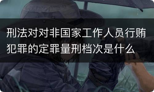 刑法对对非国家工作人员行贿犯罪的定罪量刑档次是什么