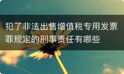 犯了非法出售增值税专用发票罪规定的刑事责任有哪些