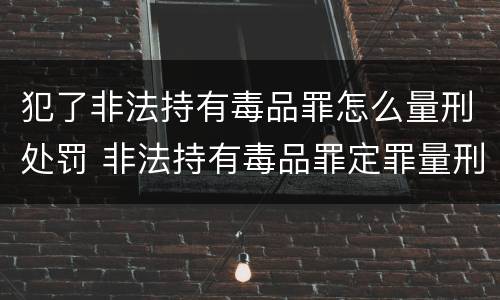 犯了非法持有毒品罪怎么量刑处罚 非法持有毒品罪定罪量刑