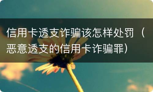 信用卡透支诈骗该怎样处罚（恶意透支的信用卡诈骗罪）