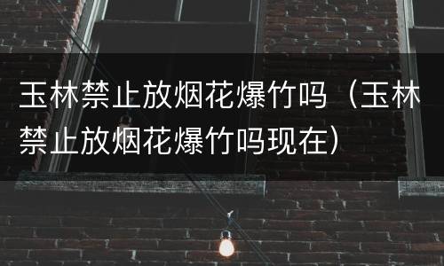 玉林禁止放烟花爆竹吗（玉林禁止放烟花爆竹吗现在）
