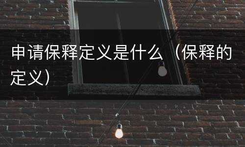 申请保释定义是什么（保释的定义）