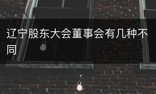 辽宁股东大会董事会有几种不同