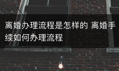 离婚办理流程是怎样的 离婚手续如何办理流程