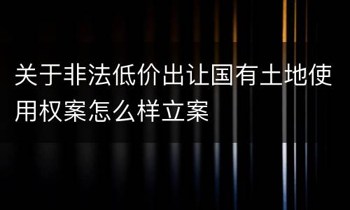关于非法低价出让国有土地使用权案怎么样立案