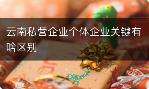 云南私营企业个体企业关键有啥区别