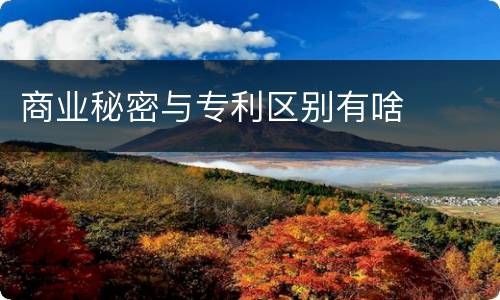 商业秘密与专利区别有啥