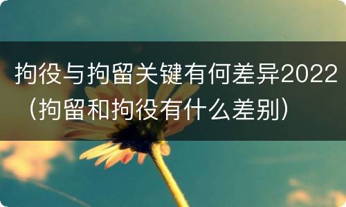 拘役与拘留关键有何差异2022（拘留和拘役有什么差别）