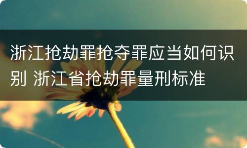 浙江抢劫罪抢夺罪应当如何识别 浙江省抢劫罪量刑标准